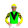 Jockey Silk
