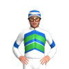 Jockey Silk