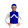 Jockey Silk