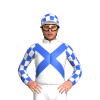 Jockey Silk