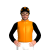Jockey Silk