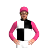 Jockey Silk