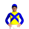Jockey Silk