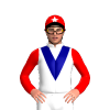 Jockey Silk