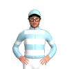 Jockey Silk