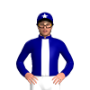 Jockey Silk