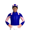 Jockey Silk
