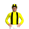 Jockey Silk