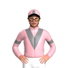 Jockey Silk