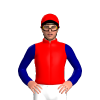 Jockey Silk