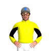 Jockey Silk