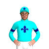 AQUA, NAVY FLEUR DE LYS, ARMBANDS, AQUA CAP, NAVY STAR CAP