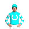 AQUA,WHITE HORSESHOE,HOOPS SLEEVES