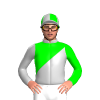 SILVER, LIME DIAGONAL HALVES, SILVER SLEEVES, LIME SLEEVES, QUARTERS CAP