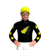 Black, Yellow Fern, Star Sleeves, Star Cap