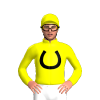 Yellow, Black Horseshoe
