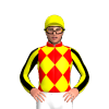 Red, Yellow Diamonds, Black Striped Sleeves, Yellow Cap