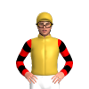 Gold, Red And Black Hooped Sleeves