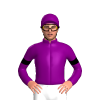 Purple, Black Armbands