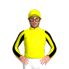 Yellow, Black Shamrock, Striped Sleeves