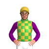 Green And Gold Checks, Purple Sleeves, Gold Cap