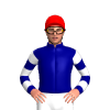 Navy Blue, White Hooped Sleeves, Red Cap