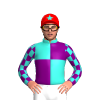 Turquoise, Purple Quarters, Checked Sleeves, Red Cap, Turquoise Star