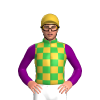 Green And Gold Check, Purple Sleeves And Gold Cap