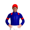 Navy Blue, Red Epaulettes, Armbands And Cap