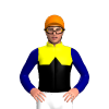 YELLOW, BLACK HALVES, BLACK DIAMOND BAND, NAVY SLEEVES, Orange cap