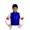 NAVY, WHITE FIVE STARS, WHITE SLEEVES , RED ARMBANDS, Black cap