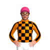 ORANGE, BLACK CHECKS, ORANGE SLEEVES, BLACK STRIPE, Pink cap