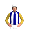 NAVY, WHITE STRIPES, GOLD SLEEVES, White cap