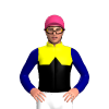 YELLOW, BLACK HALVES, BLACK DIAMOND BAND, NAVY SLEEVES, Pink cap
