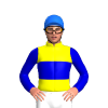 YELLOW, MEDIUM BLUE BAND, SLEEVES, Blue cap