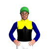 YELLOW, BLACK HALVES, BLACK DIAMOND BAND, NAVY SLEEVES, Green cap