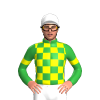 GREEN, YELLOW CHECK, GREEN SLEEVES, YELLOW ARMBAND, White cap