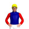 NAVY, YELLOW FIVE STARS, RED SLEEVES, Yellow cap