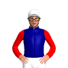 NAVY, YELLOW FIVE STARS, RED SLEEVES, White cap