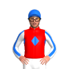 RED, BLUE DIAMOND BAND, WHITE SLEEVES, BLUE STRIPE SLEEVES, Blue cap