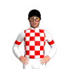 WHITE, RED CHECKS, WHITE SLEEVES, RED ARMBANDS, Black cap