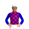 RED, MEDIUM BLUE CHECKS, MEDIUM BLUE SLEEVES, White cap