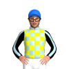 LIGHT BLUE, YELLOW CHECKS ,BLACK SLEEVES, LIGHT BLUE STRIPE, Blue cap