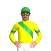YELLOW, GREEN RIGHT SASH, ARMBANDS, Green cap