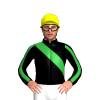 BLACK, GREEN RIGHT SASH, BLACK SLEEVES, GREEN STRIPE, Yellow cap