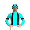 Jockey Silk