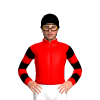 Jockey Silk