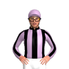 Jockey Silk