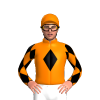 Jockey Silk