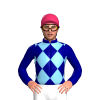 Jockey Silk